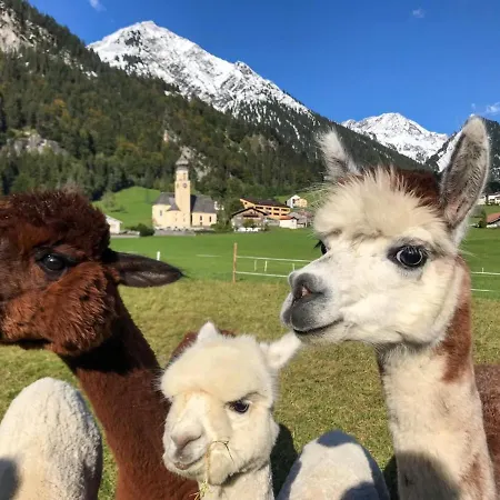 Gaestehaus Zum Baeren Appartement *