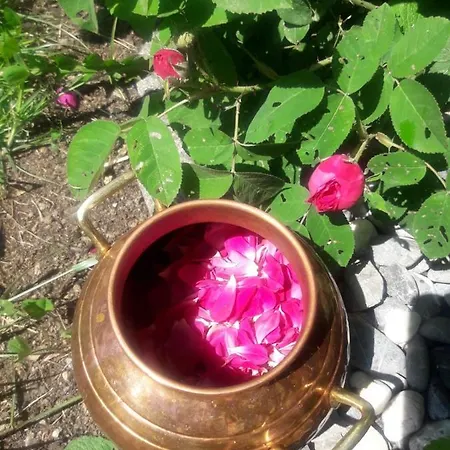 Gaestehaus Zum Baeren Apartment *