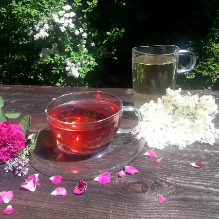 Gaestehaus Zum Baeren Apartment