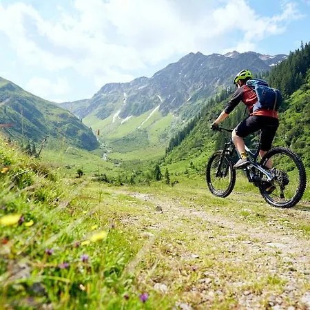 Apartment Gaestehaus Zum Baeren *