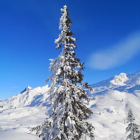 Appartement Gaestehaus Zum Baeren