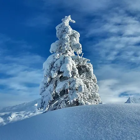 Gaestehaus Zum Baeren *